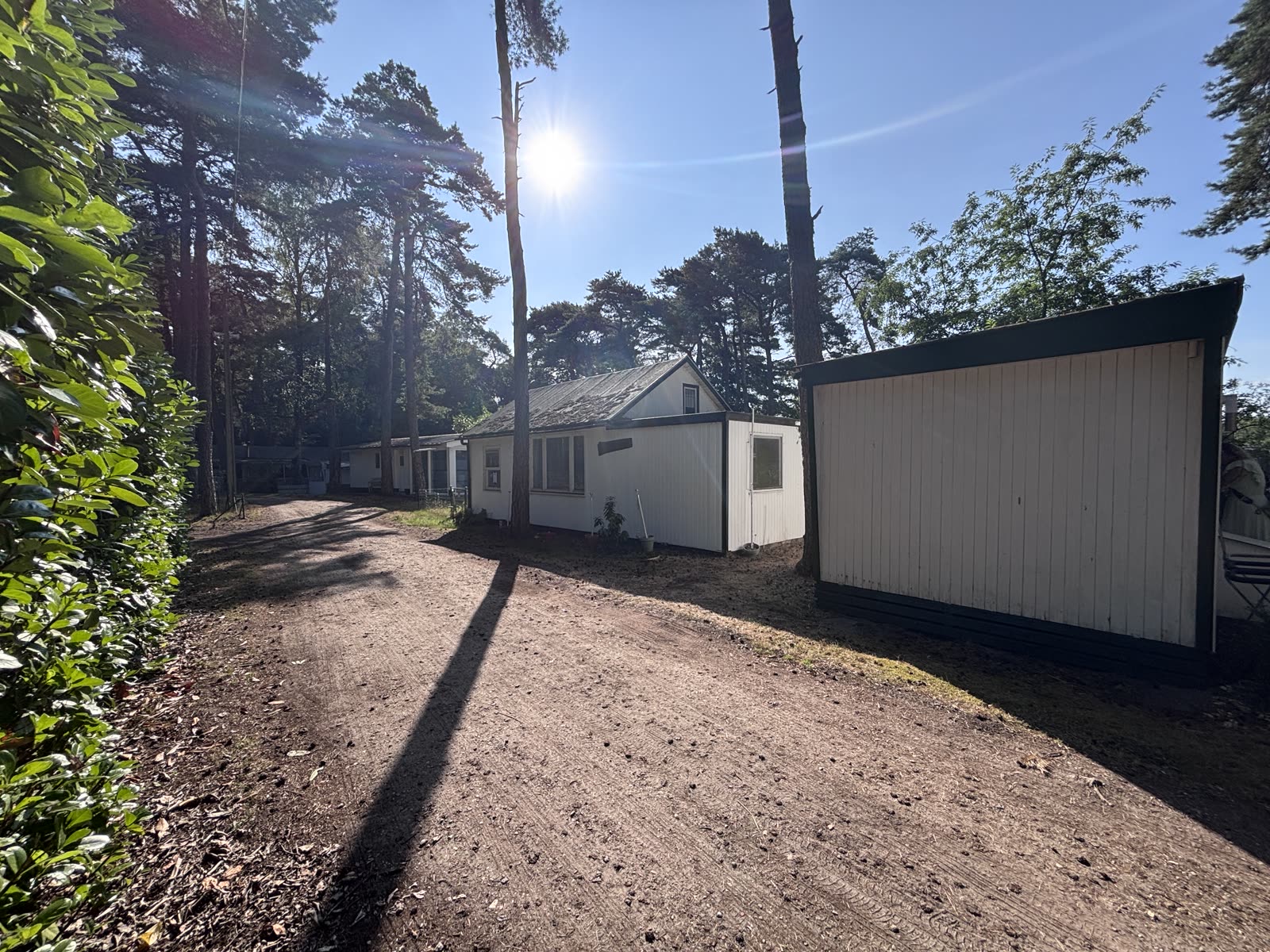 Witte chalets langs een laan in het bos